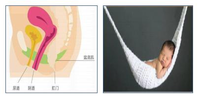 关爱产后妈妈从健康开始,关爱母亲