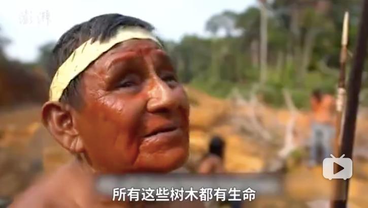 三个月砍掉20个曼哈顿，一年砍掉一个国家，亚马逊已经到了最危急的时候