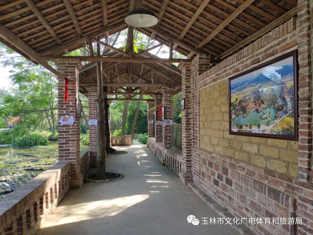 分享|“云游”林间小屋、石砌村道、稻田果树！乡村康养的好去处