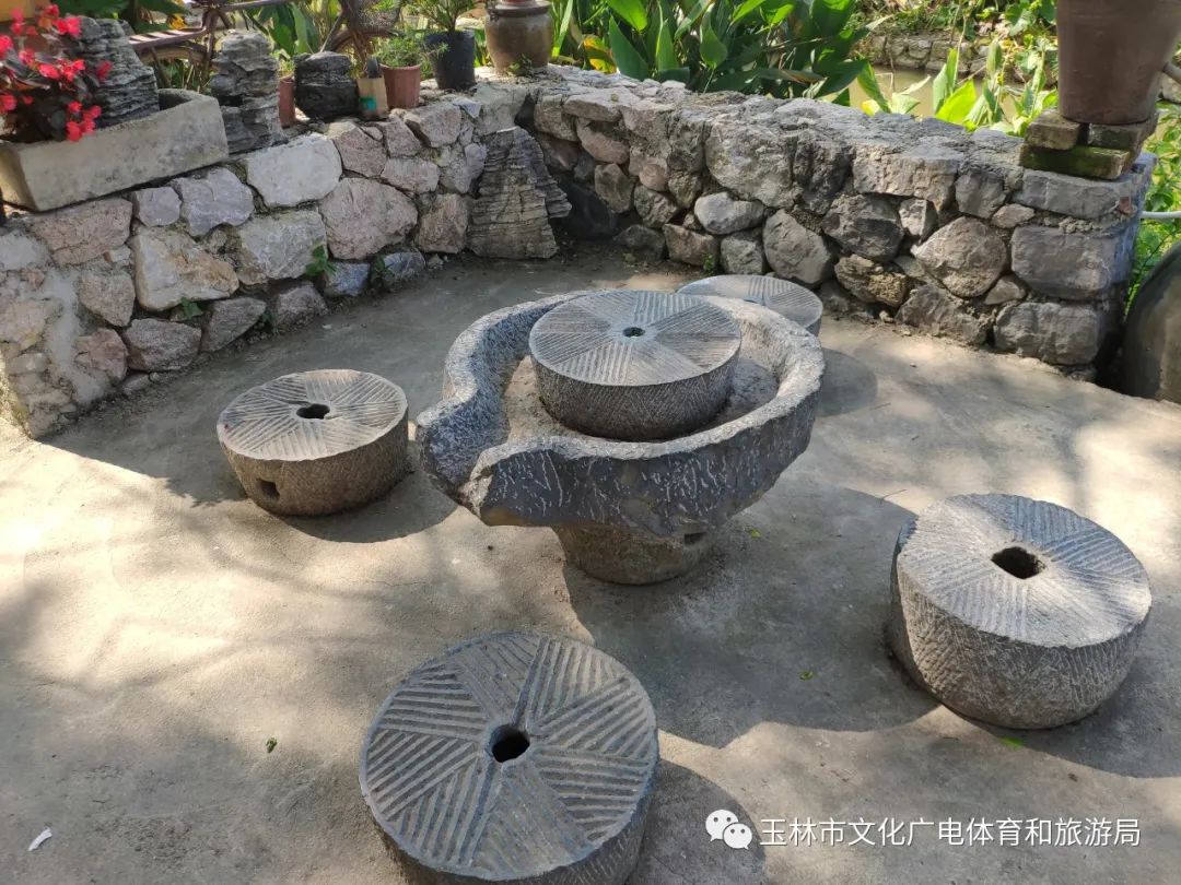 分享|“云游”林间小屋、石砌村道、稻田果树！乡村康养的好去处