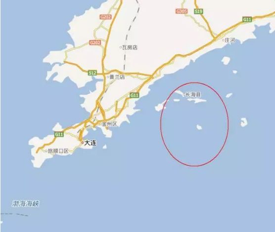 最新海参市场消息,海参市场靠谱吗