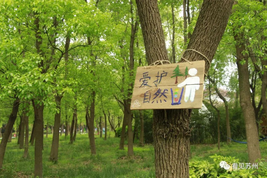 苏州森林里野奢树屋,苏州泡温泉度假的地方推荐