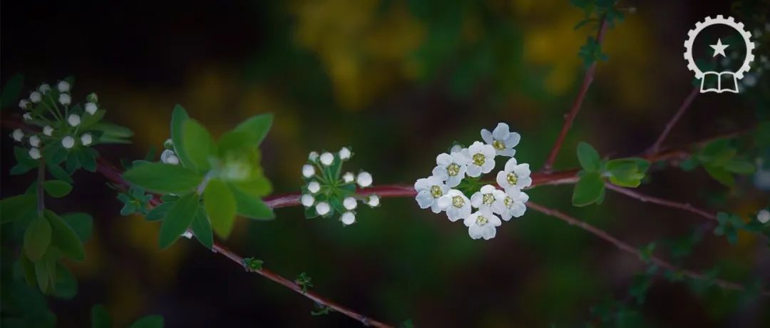 和同事不和如何处理,同事八字不合怎么破