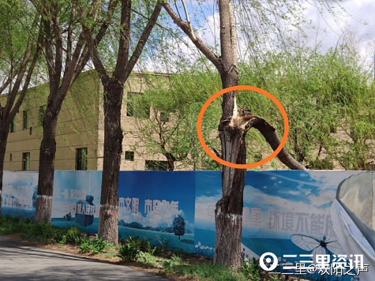 「二三里早八点」吉林市小区为居家隔离人员设专用垃圾桶;家长给孩子买蓝魔虾消解寂寞