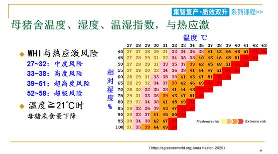 养好母猪必备的四个条件,母猪高温夏季保健方案