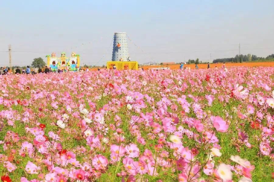 淄博景区半价,淄博3月底免费景点免费开放通知