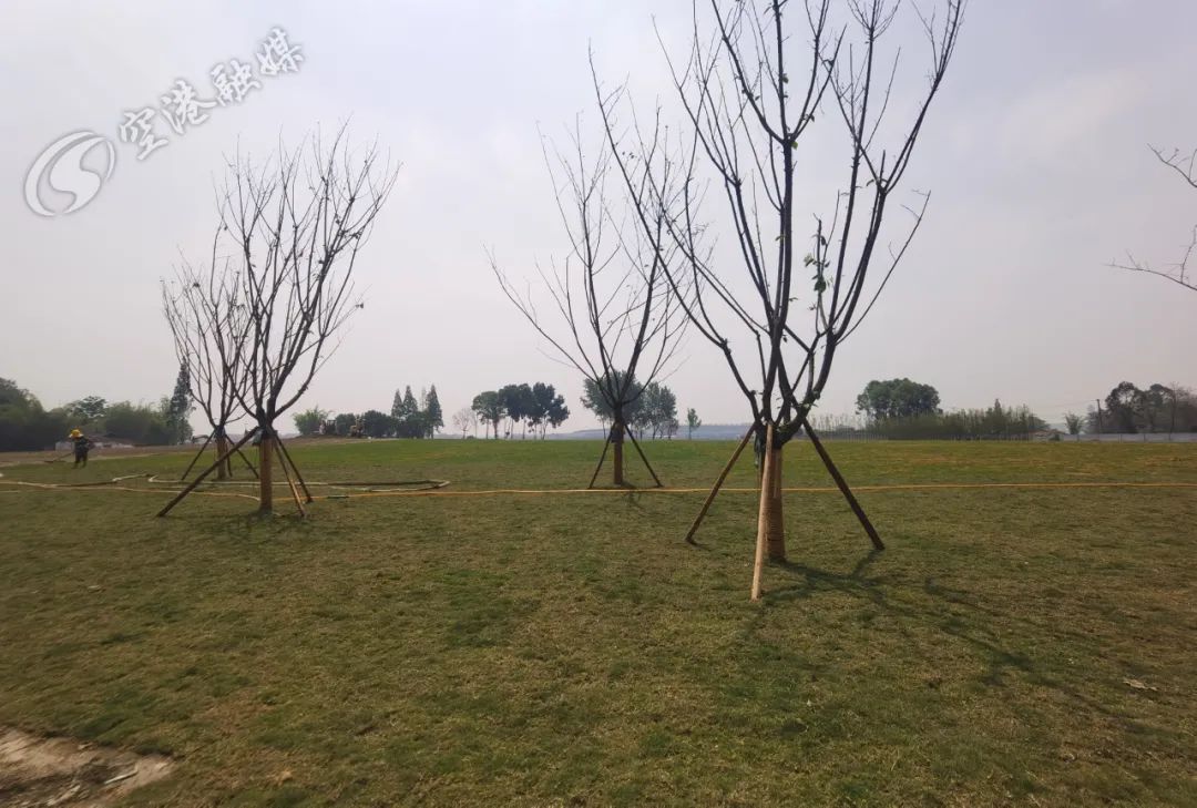 空港体育公园什么时候去,2024年空港体育公园