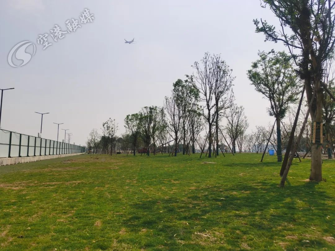 空港体育公园现在可以进去吗,空港体育公园还开放的吗