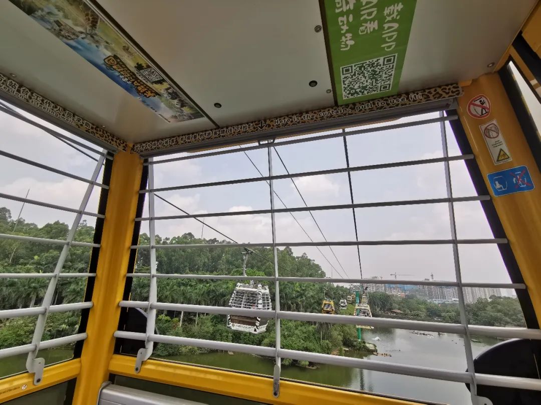 广州长隆野生动物世界何时建成,广州长隆野生动物园有白狮