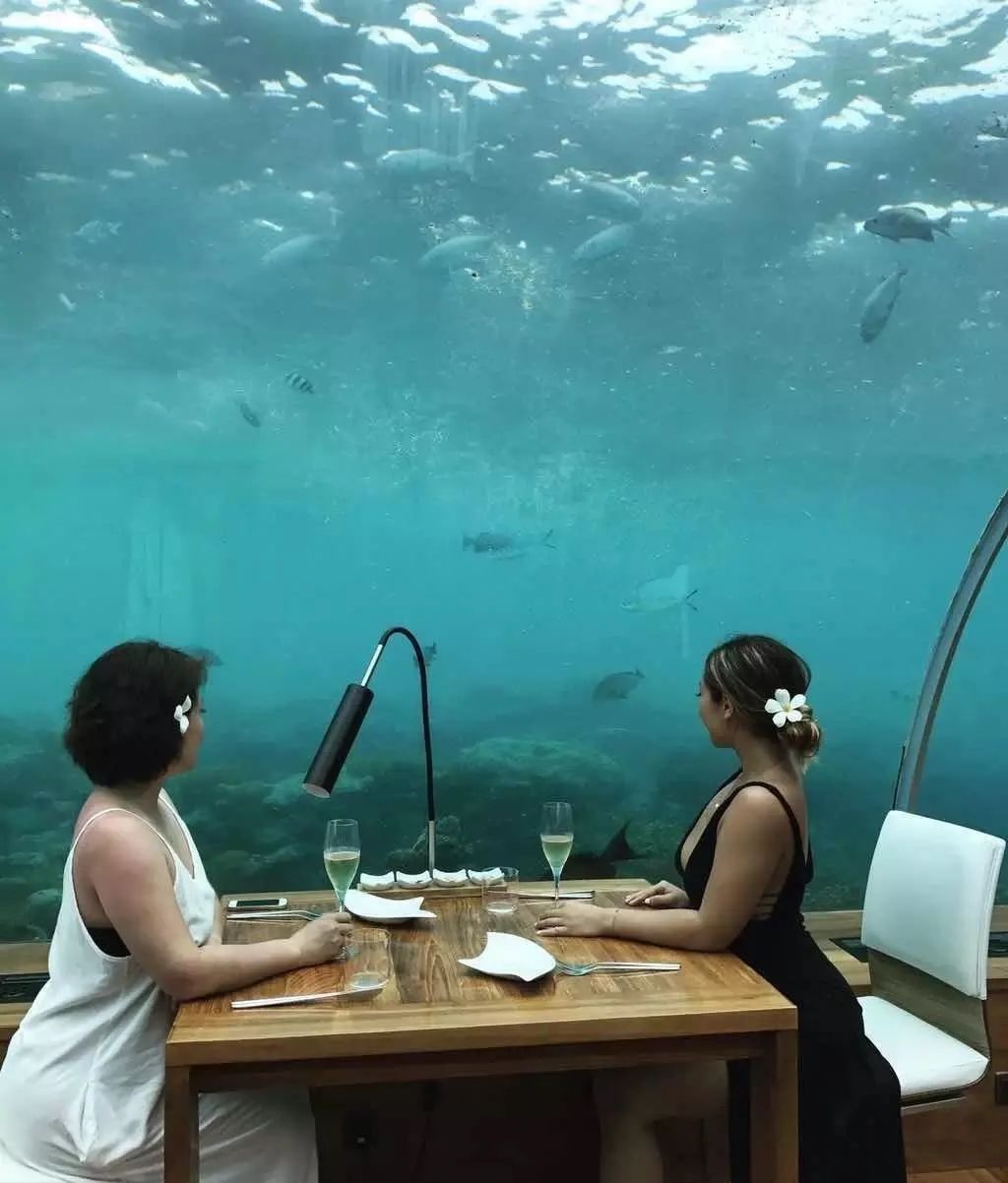 50岁以上学瑜伽,50岁了想去学瑜伽教练怎么学