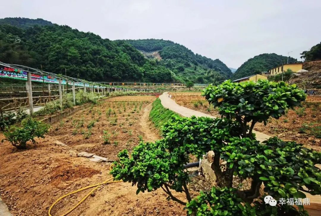 要把城市变美,福鼎市创建生态文明城市