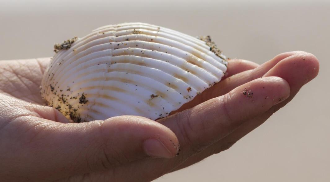 去除脚臭脚气脚出汗小妙招,光脚走路有效去脚臭