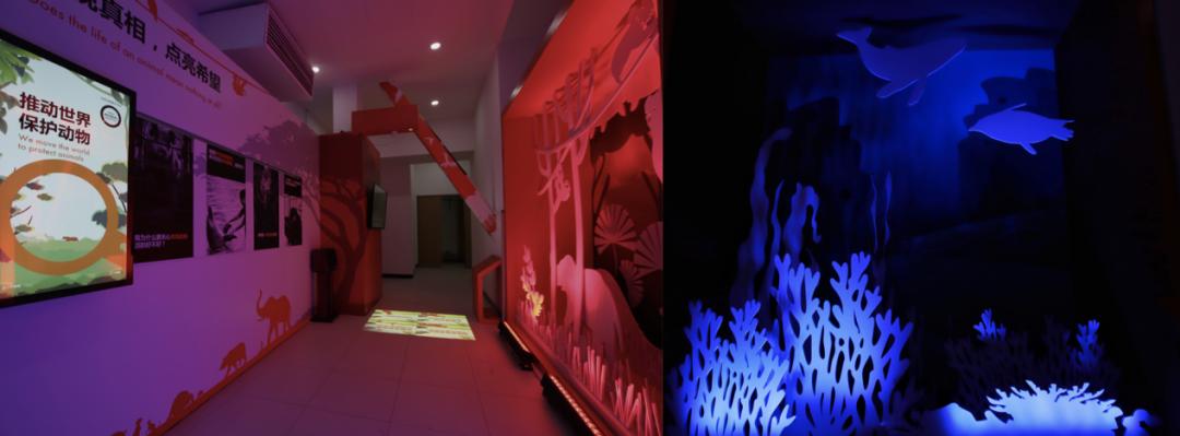 购物节公益活动,购物中心们的暖心公益活动盘点