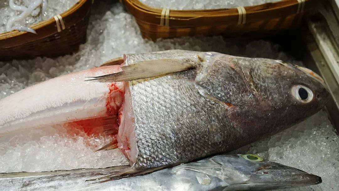 “浙C”注册不下来，愁坏温州老板娘！老乡老乡，真的是背后一枪？