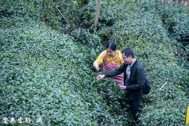 真香！去乐园耍水，到秘境观溪，本周门票福利已送达~