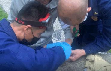 宝格丽18k金机械男表试戴,朋友的婚戒别乱戴