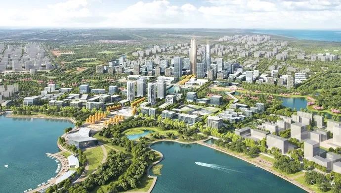 临港新城新发展,未来的临港新片区