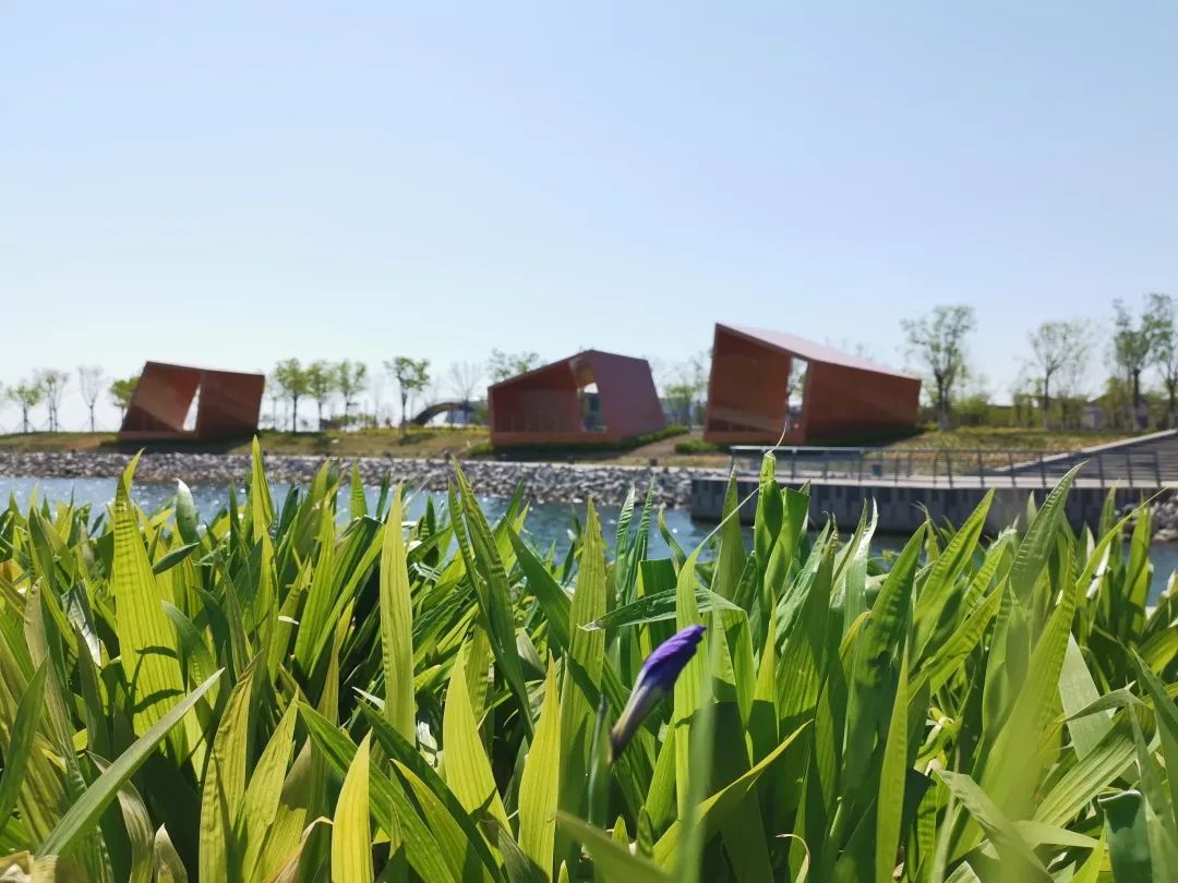 天津疫情期间开放的公园,天津北辰郊野公园现在开放吗