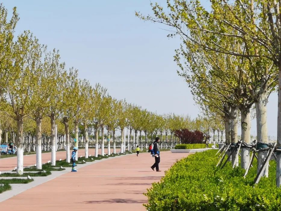天津疫情期间开放的公园,天津北辰郊野公园现在开放吗