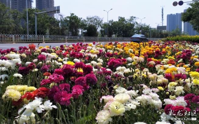 昆明2023年发展最新消息,昆明未来的发展将颠覆你的想象