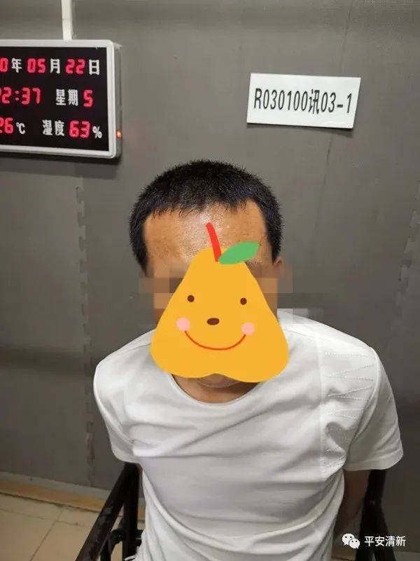 海底龟煲汤功效,海底龟煲汤