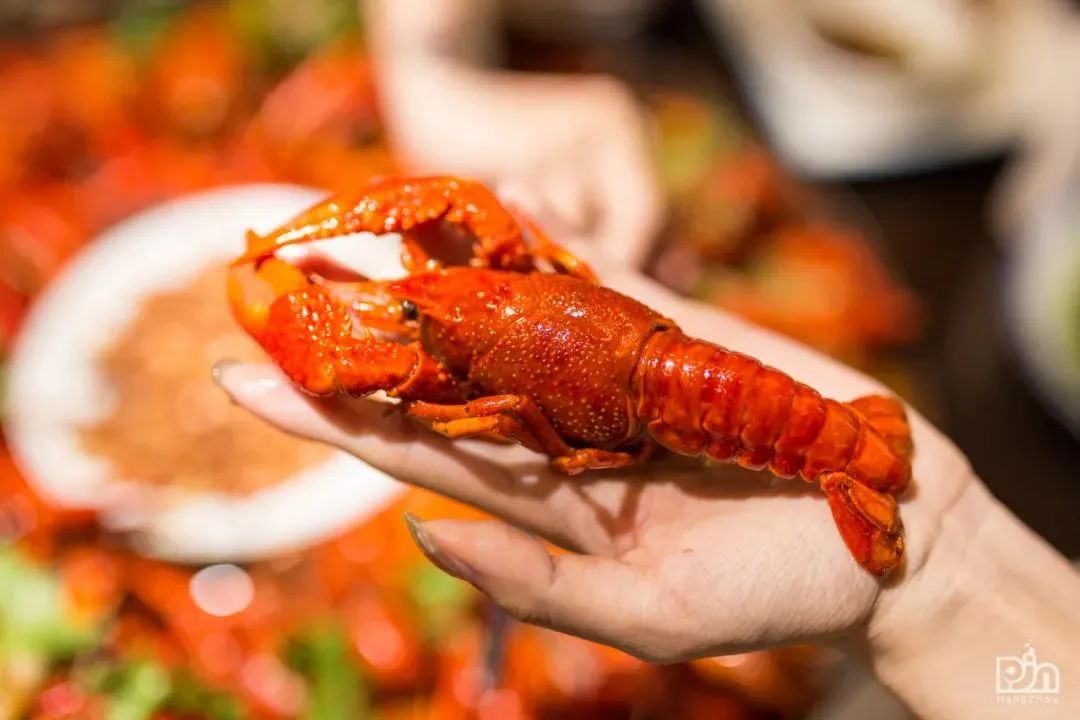 36000方!杭州城西这家社区mall,80%是烟火气小馆!100块吃8个经典老菜,还有思聪打卡店