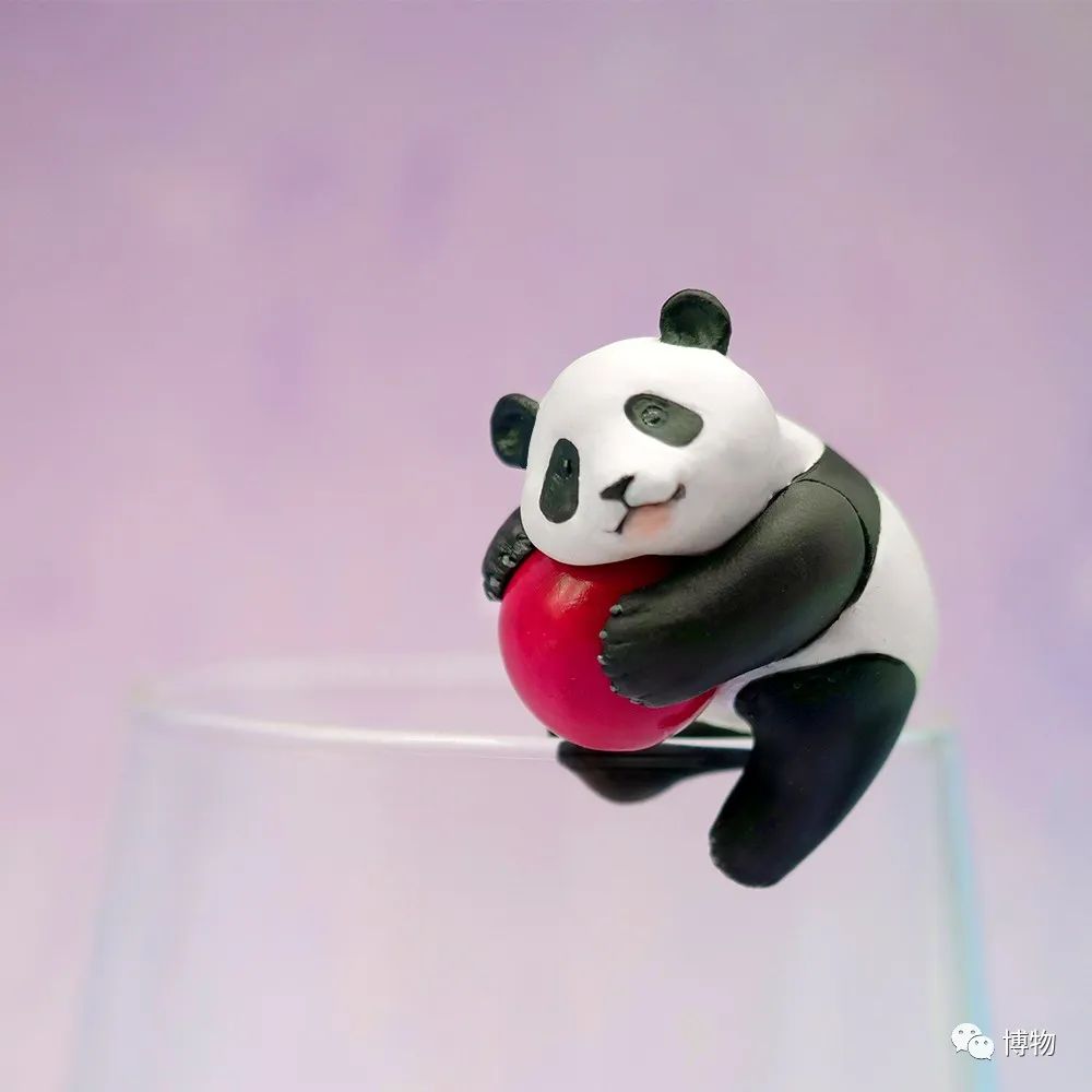 能拍彩色照片的大熊猫,大熊猫为啥不能拥有一张彩色照片