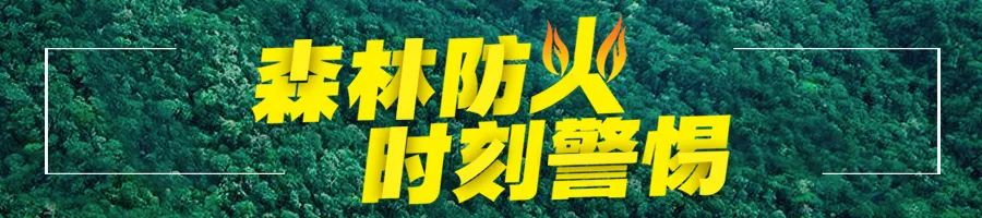 砥砺奋进的五年丨千亿近在咫尺！“变”与“不变”看泸酒