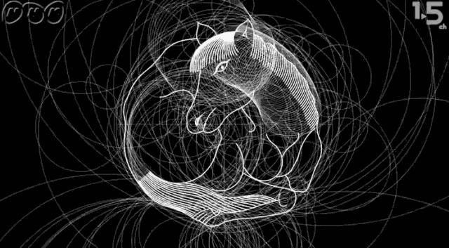 这首日本设计神曲刷屏了，治好了我多年的强迫症