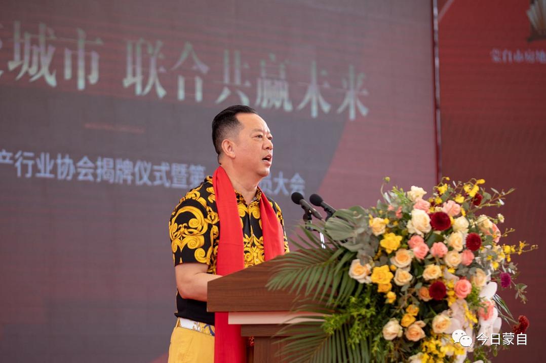 蒙自地产界大事件!蒙自市房地产行业协会挂牌成立~