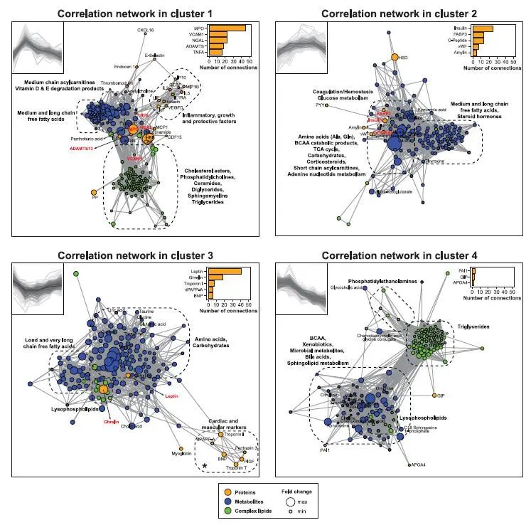 运动10分钟，机体内的分子是如何变化的？