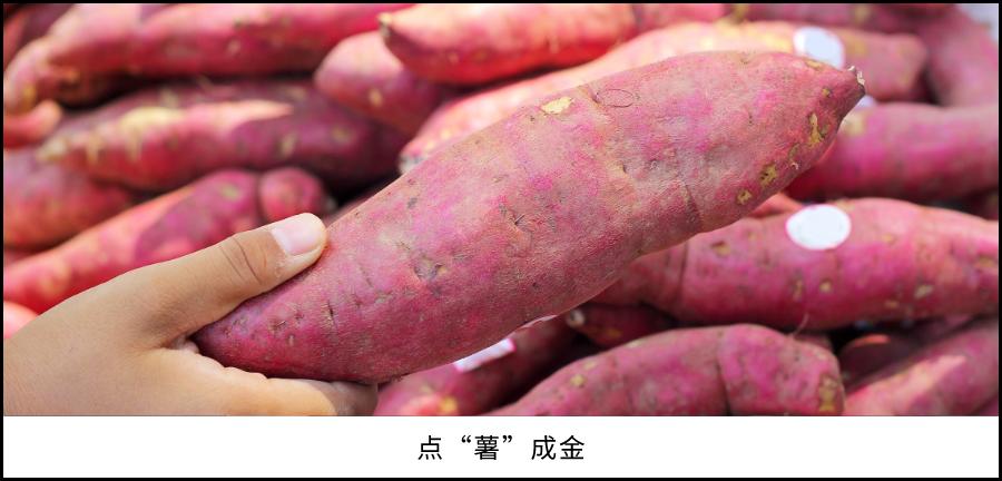 这里是广东,走进顺德