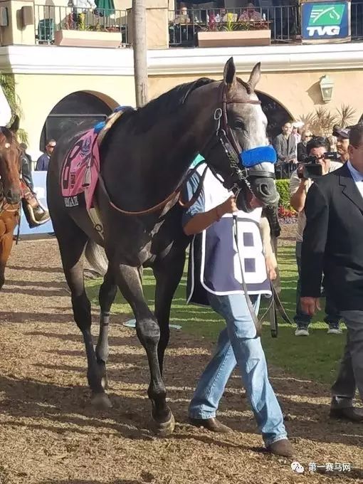 马王鸠占鹊巢怎么死的,天妒英才英年早逝的历史人物