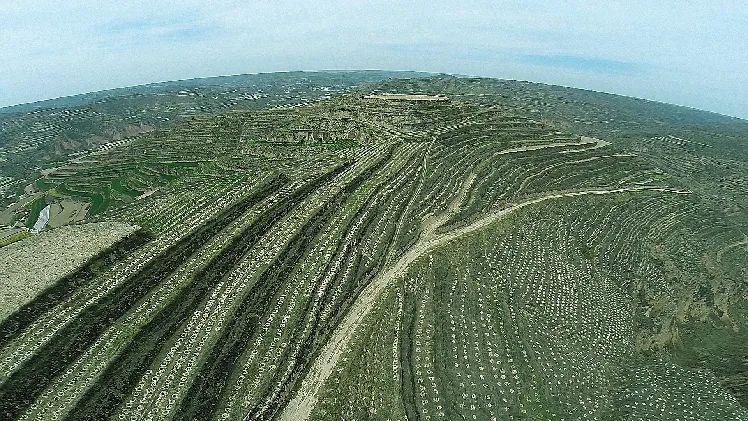 再造子午岭,再造一个子午岭有效吗