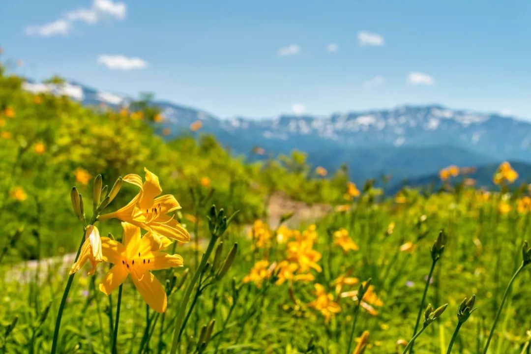 日本小城,日本最值得去的小镇