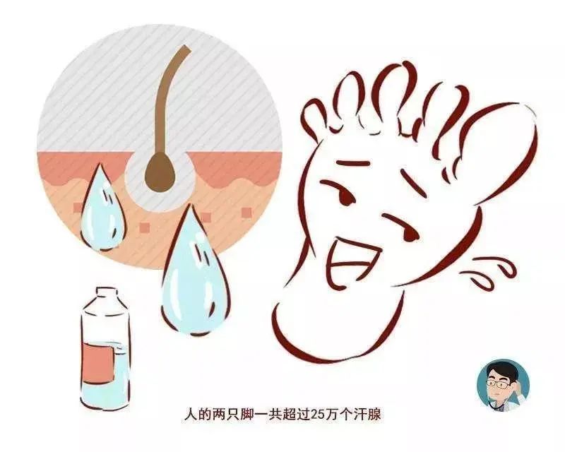 脚臭脱鞋多久可以去味,脱鞋臭脚怎么快速除臭