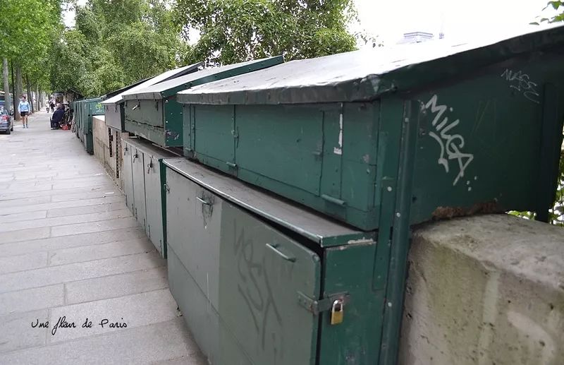 塞纳河畔旧书摊,塞纳河畔旧书摊的故事