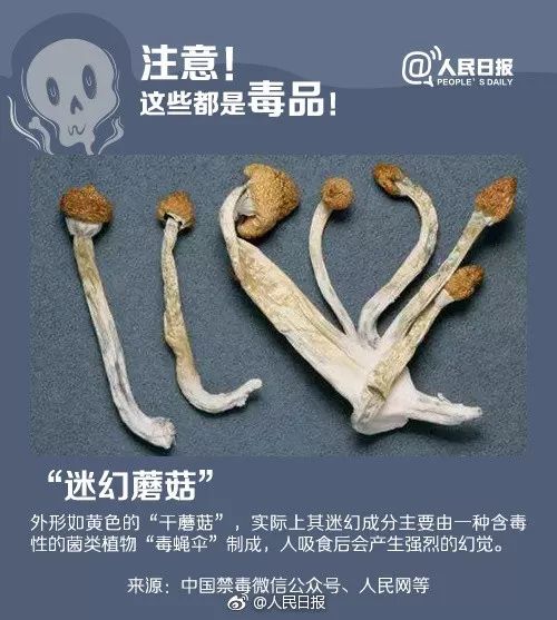 海关查获有毒生物制品,海关查获病毒样本后果