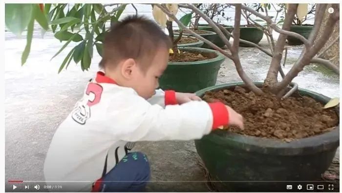 为什么收养孩子又弃养,收养孩子之后可以弃养吗