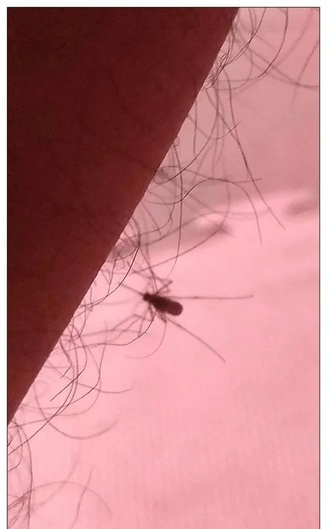 喜欢上女孩子的室友咋办,自己是男孩子喜欢上了室友怎么办