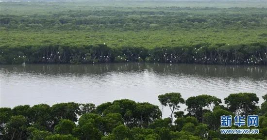 世界海洋日感知海洋保护海洋,世界海洋日保卫海岸