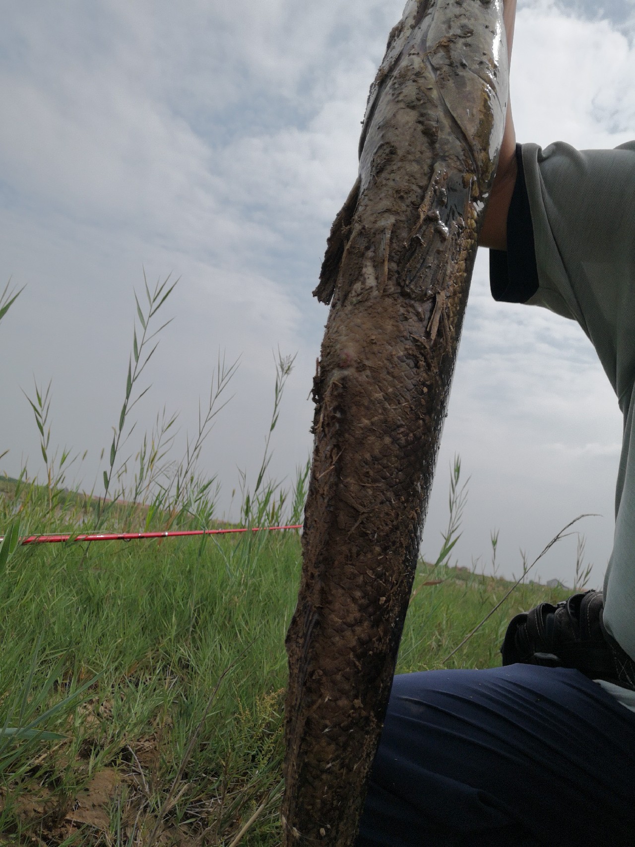 路亚怎么打黑的,路亚打黑怎样打