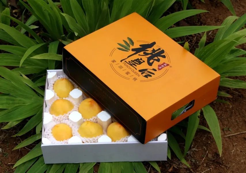 沂蒙山蒙阴黄金油蟠桃,山东蒙阴正宗黄金油桃