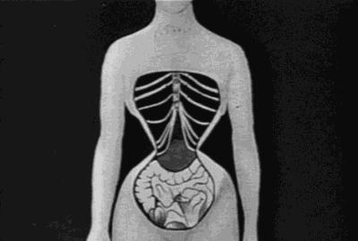 被吹得上天的十种伪健康产品,还有哪些坑人的健康建议