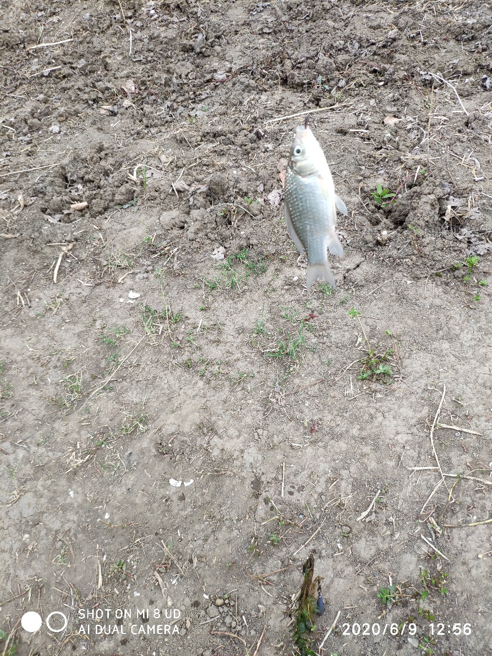 小矶竿导环怎么修复,小矶竿手把节修复