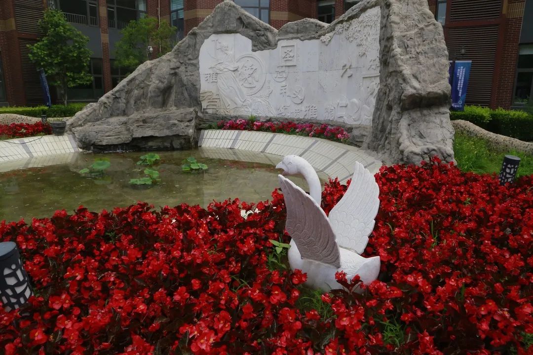 海淀学校都是“宝”，我们带您“云”探校|第二辑