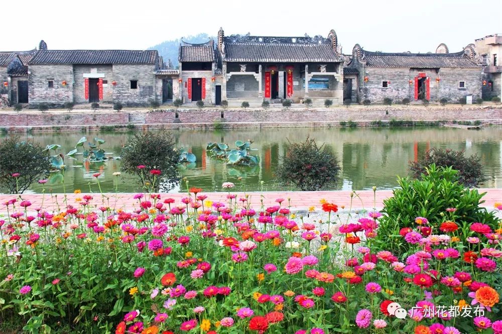 花都这些村超级棒！快来助力！