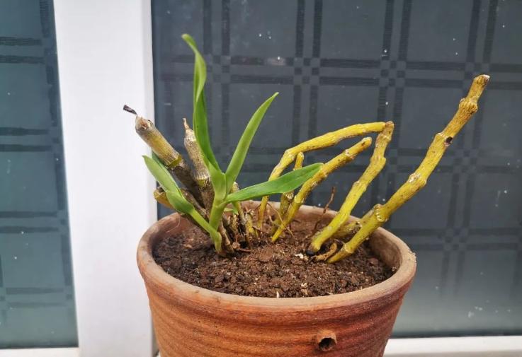 美文阅读人生如诗读后感,悦读美文领悟生活