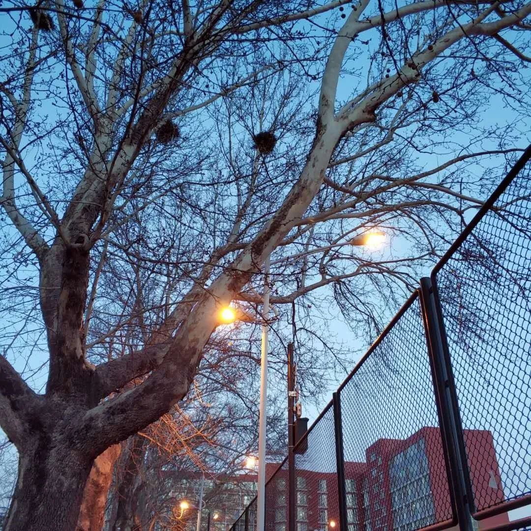 毕业季我的初中生活,毕业季我和我的校园时光