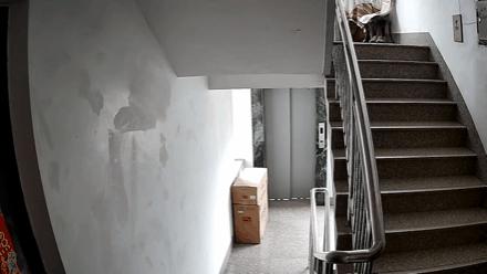 暖哭！“快递叔叔救妈妈danwu送空调，请您别怪他”